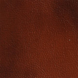Madras 2012 (������� ���)